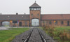 auschwitz