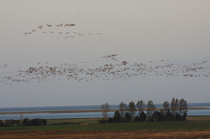 formation3